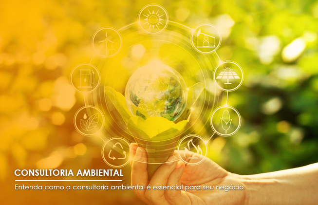 Entenda como a consultoria ambiental é essencial para seu negócio