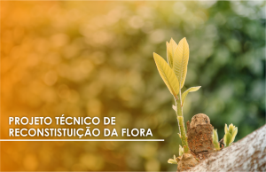 Projeto Técnico de Reconstituição da Flora (PTRF) no Licenciamento Ambiental
